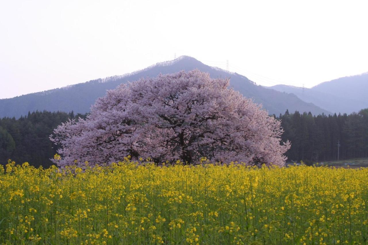 료칸 와라비노 Takayama  외부 사진